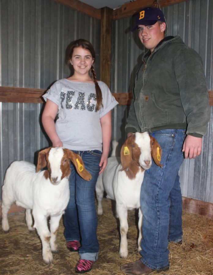 Emma and Ben Reeder show of Dallas and Cowboy. The livestock begins today in the new expo center south of town; the Reeders will compete with their goats on Sunday.