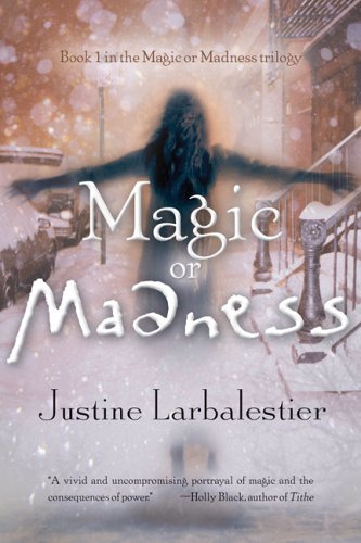 Magic or Madness sets the stage for a great trilogy