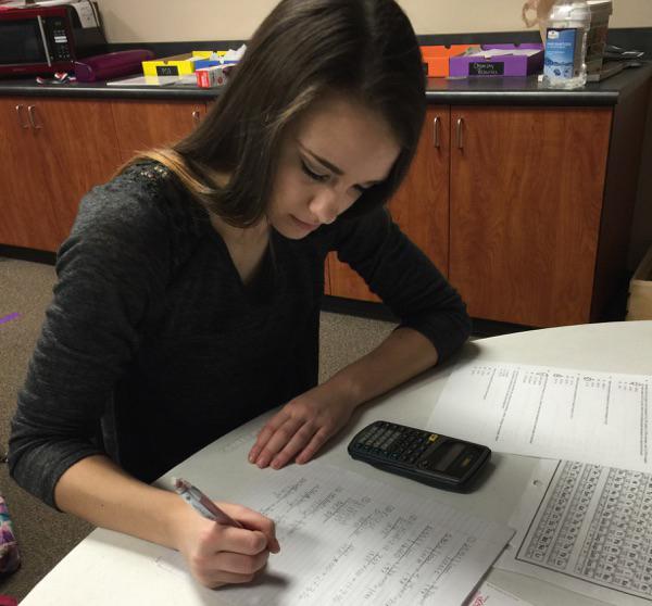 Sophomore Madison Rowan works on a math assignment.