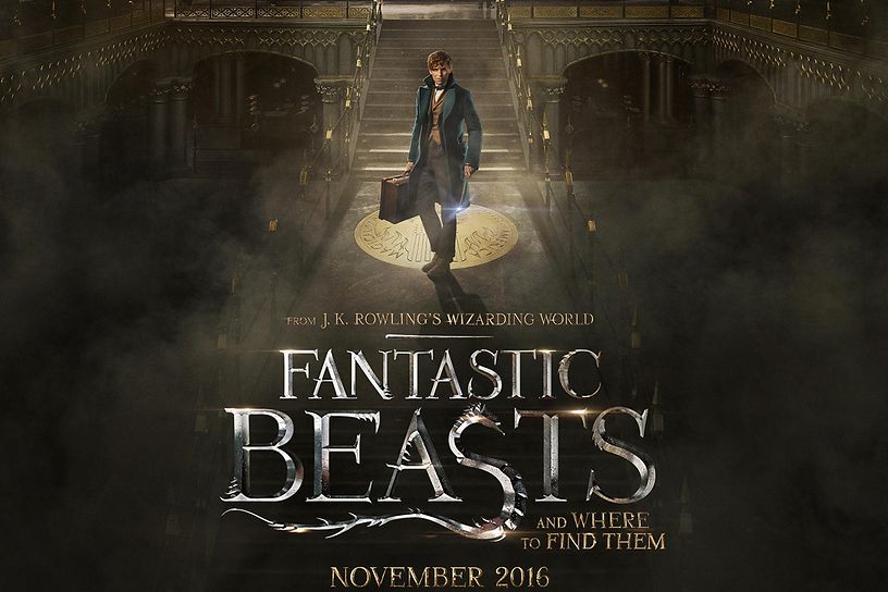 Fantisic Beasts and Where to Find Them could have been better