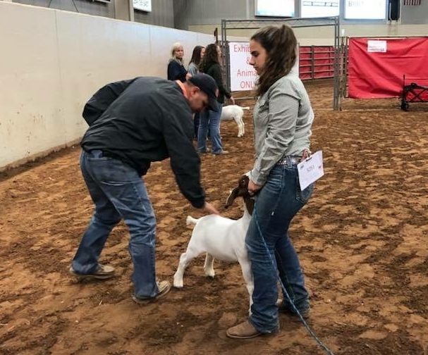 FFA students compete at the Heart of Texas fair