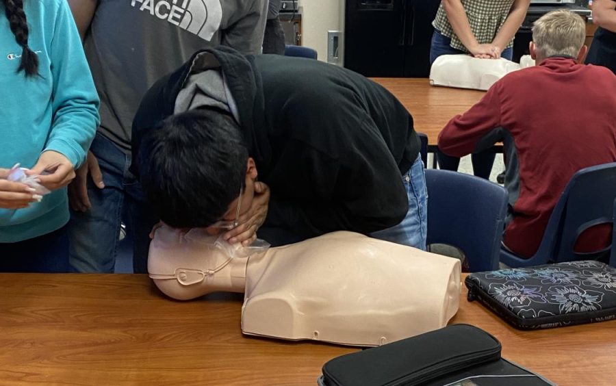 Senior Jorge Herrera practices his CPR technique during a certification class.