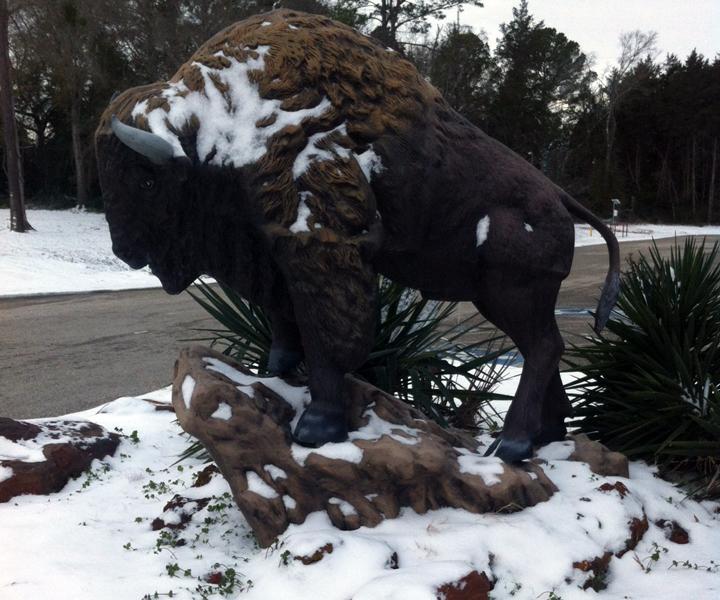 The buffalo statue in front of the school was covered in ice and snow, as were many of the roads, causing administration to change from a planned late start to a full bad weather day on January 24. Faculty and staff will make up the day on March 28.