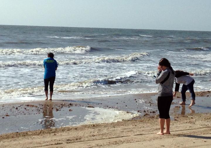 Debaters Nadia Garcia, Kendall Morales and Lilah Molina hunt for shells at the beach in High Island. The group relaxed at the beach on the morning of the second day of competition before debating in the afternoon.