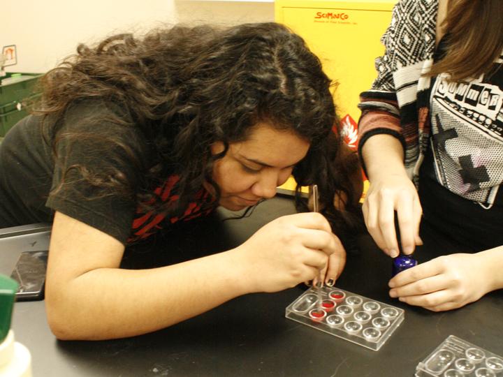 Senior Diana Avila focuses on her blood typing lab during forensics class.