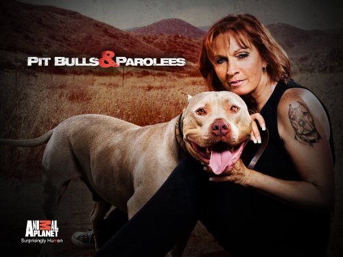 Pitbulls and Parolees offers second chances