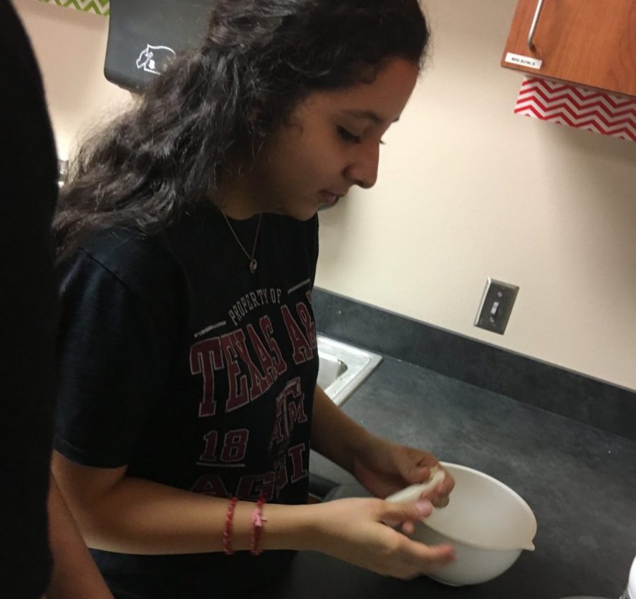 Food Science students experiment with cheese