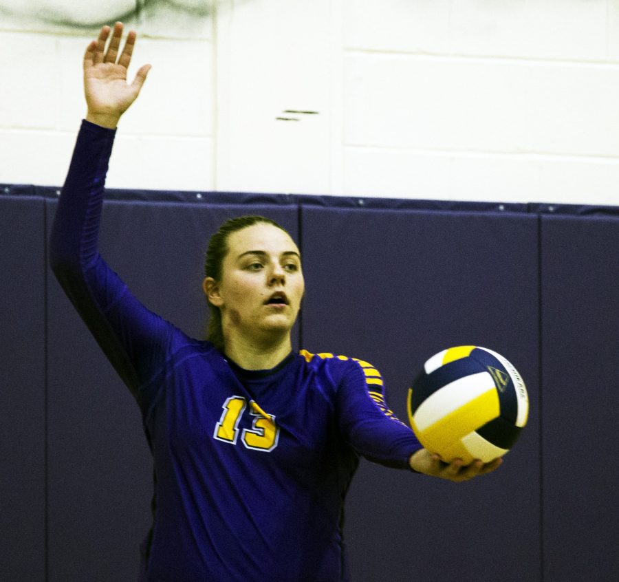 Volleyball team places in tournament