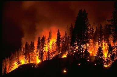 Wildfires Sweep the Western half of the U.S