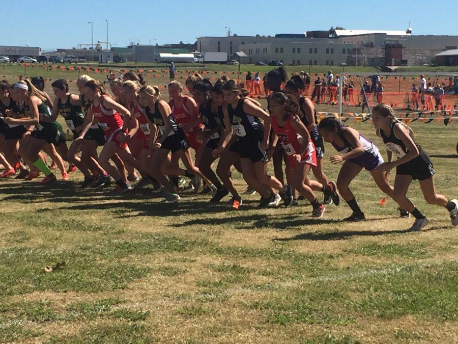 Cross-Country team advances two runners to regionals