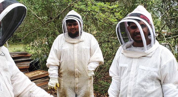 Students learn the art of bee keeping