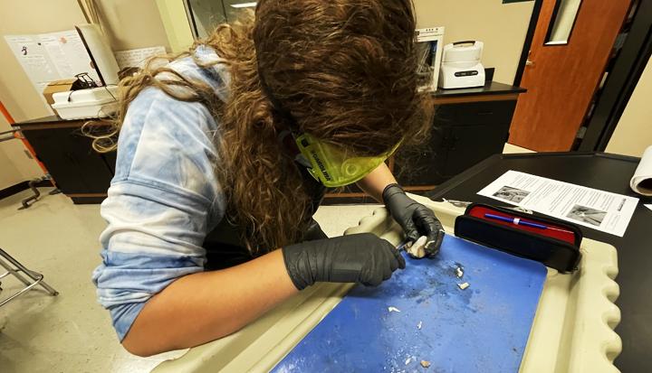 Students tackle eyeball dissection