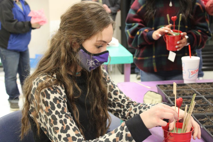 Sophomore Alison Bing works on her Valentines Day project in Floral Design class. The students each made two projects - one for a teacher, and one for someone else special in their lives.