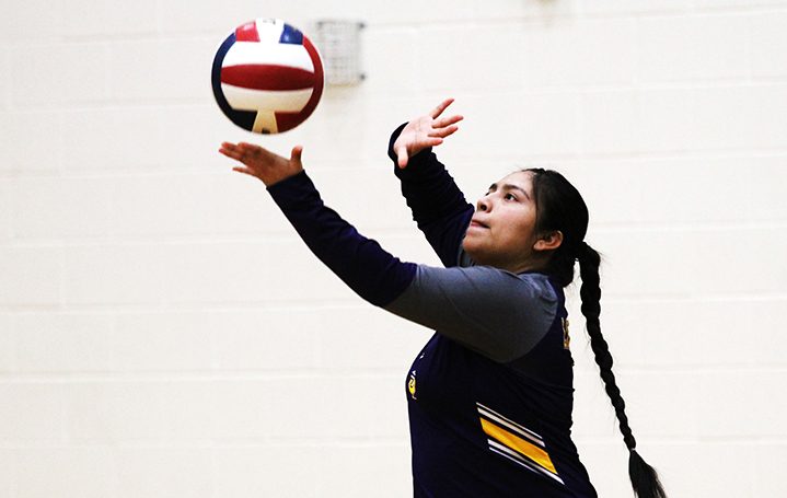 Daniela Gonzalez serves the ball during the Lady Bison game against Fairfield last week.