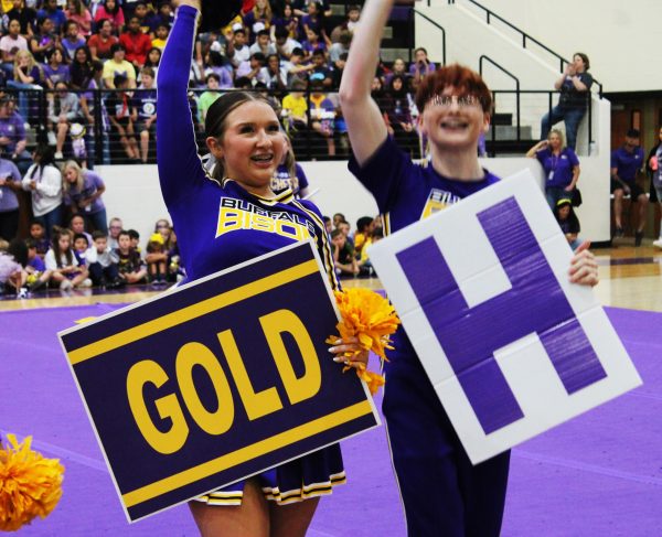 Cheerleaders Madison GIlliam and Brock Corbitt perform at a pep rally.